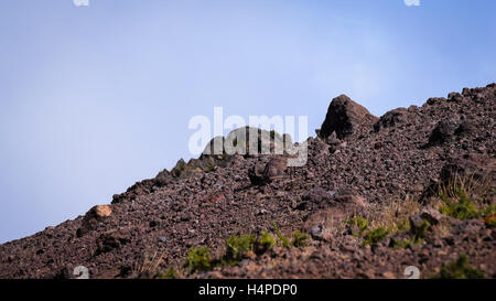 Rot gefärbten Gesteinen und Böden der Pico do Arieiro, Madeira Stockfoto