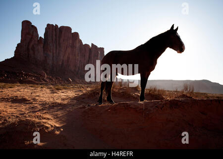 Silhouette des Pferdes gegen mesa Stockfoto