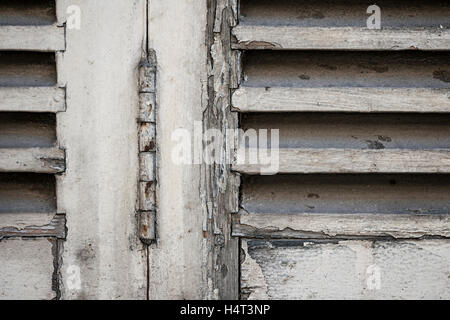 Detail der alten hölzernen geschlossen Fensterläden mit rostigen Eisen Scharnier und abblätternde Farbe. Toulouse, Frankreich. Stockfoto