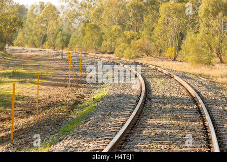 eine gebogene Eisenbahnlinie mit Holz herum und Schatten über Gleise Stockfoto