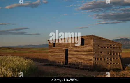 Einem alten Schuppen sitzt in einem Feld in Colorado bei Sonnenaufgang mit den Rocky Mountains im Hintergrund. Stockfoto