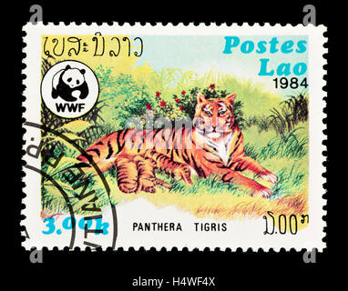 Briefmarke aus Laos Darstellung eines weiblichen Tigers und Jungtiere (Panthera Tigris). Stockfoto