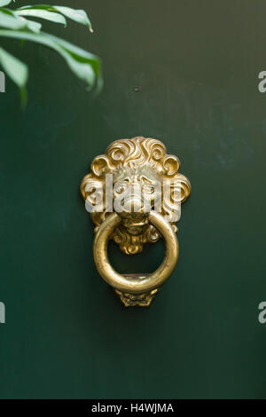 Eine elegante goldene Metall Türklopfer geformt wie Melancholiker suchen Löwen mit einem Ring im Mund. Grün bemalte Holztür. Stockfoto