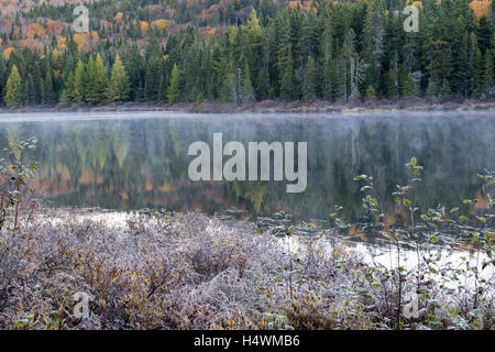 Am frühen Morgen Nebel steigt aus einem laurentian See im Herbst. Stockfoto