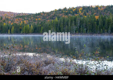 Am frühen Morgen Nebel steigt aus einem laurentian See im Herbst. Stockfoto