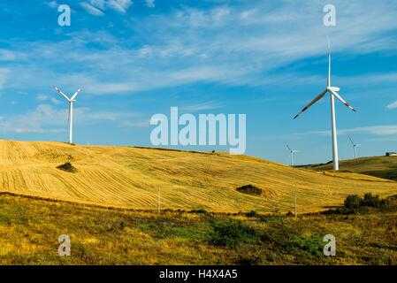 Windkraftanlagen zur Stromerzeugung auf dem Feld unter dem blauen bewölktem Himmel. Erneuerbare elektrische Energie-Produktion. Stockfoto