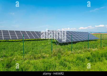 Sonnenkollektoren im Feld mit blauem Himmel. Photovoltaik-Module produziert grüne, umweltfreundliche, erneuerbare Energien Stockfoto