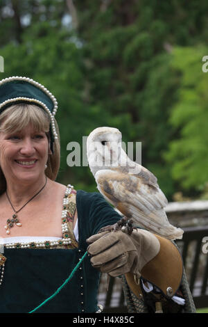 Falknerei-Vorführungen am Berkeley Castle in Gloucestershire, England Stockfoto