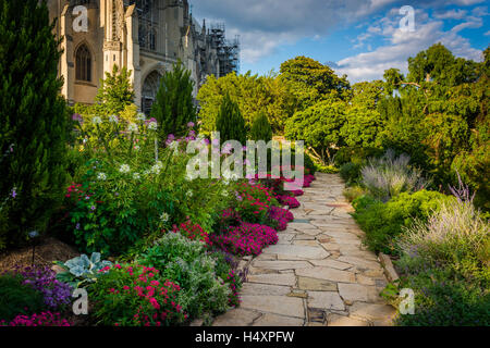 Pflanzen und Gehweg in der Bischof der Garten und die Washington National Cathedral in Washington, DC. Stockfoto