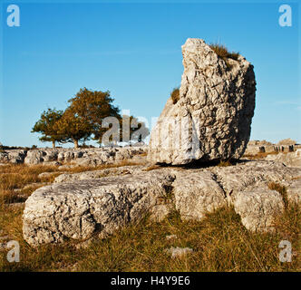 Der big rock Stockfoto