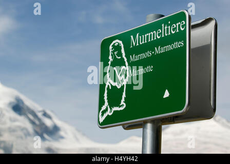 "Murmeltiere", Deutsch für Murmeltier oder Murmeltier, Mt Großglockner Hochalpenstraße Hochalpenstraße zu unterzeichnen Stockfoto