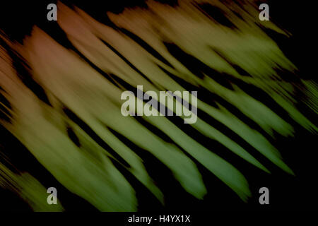 Die Oberfläche des Stoffes mit dem Bild verwischen. Stockfoto