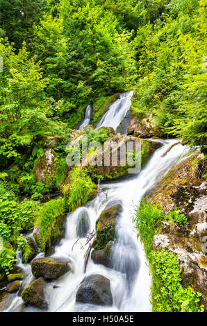 Triberger Wasserfälle, einer der höchsten Wasserfälle in Deutschland - die Schwarzwaldregion Stockfoto