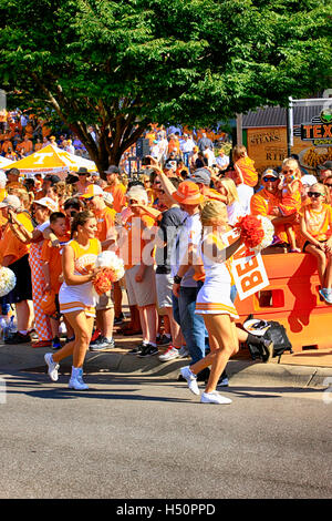 Cheerleader der Universität von Tennessee Volunteers-Fußball-Nationalmannschaft im Neyland Stadium, Knoxville Stockfoto