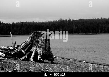 Hafen Macneill Beach. Vancouver Island. Britisch-Kolumbien. Kanada Stockfoto