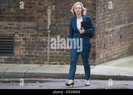 Downing Street, London, 18. Oktober 2016. Justiz-Staatssekretär und Herrn Bundeskanzler Liz Truss kommt bei der wöchentlichen Kabinettssitzung in 10 Downing Street in London. Bildnachweis: Paul Davey/Alamy Live-Nachrichten Stockfoto