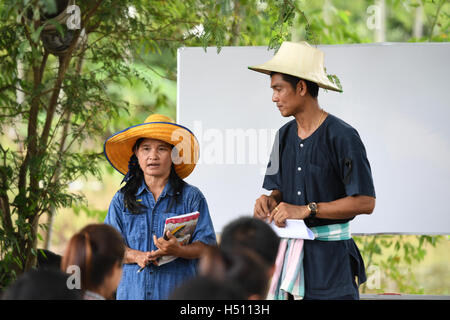 SINGBURI - THAILAND 18: Bauern Pflanzen Reis durch den Nachweis ausreichender Wirtschaft wie Könige und Thailand ihre Loyalität gegenüber der Monarchie am Bangrachan am 18. Oktober 2016 in Singburi, Thailand zeigen. Stockfoto