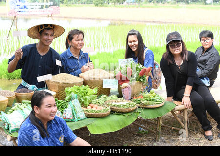 SINGBURI - THAILAND 18: Bauern Pflanzen Reis durch den Nachweis ausreichender Wirtschaft wie Könige und Thailand ihre Loyalität gegenüber der Monarchie am Bangrachan am 18. Oktober 2016 in Singburi, Thailand zeigen. Stockfoto