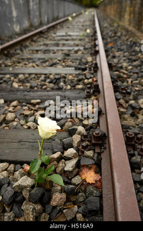 Berlin, Deutschland. 19. Oktober 2016. Weiße Rosen-stick aus dem Gleisbett auf dem Gelände der Gedenkstätte Gleis 17 im Grunewald in Berlin, Deutschland, 19. Oktober 2016. Dort sind viele Menschen der Beginn der NS-Deportationen von Juden aus Berlin vor 75 Jahren zum Gedenken an. Foto: RAINER JENSEN/Dpa/Alamy Live-Nachrichten Stockfoto