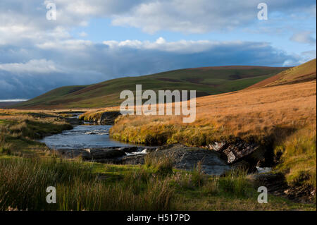 Rhayader, Powys, UK. 19. Oktober 2016. VEREINIGTES KÖNIGREICH. Späten Nachmittag Sonne bescheint eine Herbstlandschaft in der Elan-Tal, Powys, Wales, UK. Bildnachweis: Graham M. Lawrence/Alamy Live-Nachrichten Stockfoto