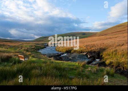 Rhayader, Powys, UK. 19. Oktober 2016. VEREINIGTES KÖNIGREICH. Späten Nachmittag Sonne bescheint eine Herbstlandschaft in der Elan-Tal, Powys, Wales, UK. Bildnachweis: Graham M. Lawrence/Alamy Live-Nachrichten Stockfoto