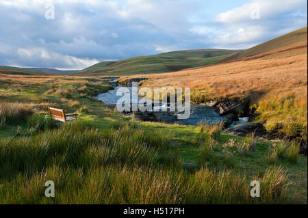 Rhayader, Powys, UK. 19. Oktober 2016. VEREINIGTES KÖNIGREICH. Späten Nachmittag Sonne bescheint eine Herbstlandschaft in der Elan-Tal, Powys, Wales, UK. Bildnachweis: Graham M. Lawrence/Alamy Live-Nachrichten Stockfoto