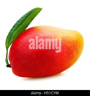 Frische Mango-Frucht isoliert auf weißem Hintergrund. Closeup. Stockfoto