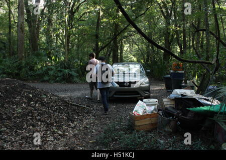 Sumpf / Regenwald in Florida schöne grüne Auto Bäume und Pflanzen 2 Personen zu Fuß durch Wald Stockfoto