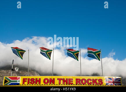 Kultige Fisch auf den Felsen mit südafrikanischen Flaggen wehen im Wind, Hout Bay, Südafrika Stockfoto