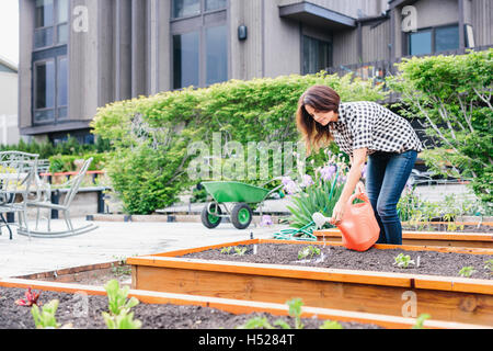 Frau mit langen braunen Haaren arbeitet in einem Garten Bewässerung Sämlinge in einem Bett. Stockfoto