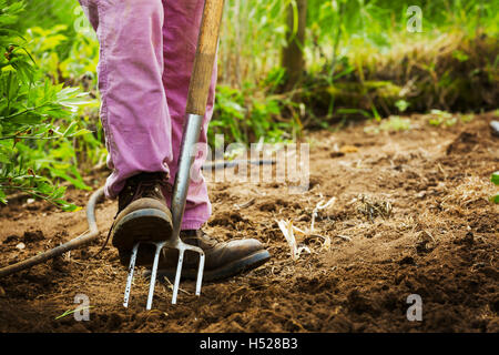 Eine Frau mit einer Mistgabel in einem kleinen Feld. Stockfoto