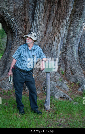 Die Cellon Oak Park in der Nähe von Gainesville, Florida, enthält die Florida State Champion Live Oak.  Es ist ein Alachua County Park. Stockfoto