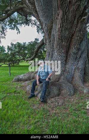 Die Cellon Oak Park in der Nähe von Gainesville, Florida, enthält die Florida State Champion Live Oak.  Es ist ein Alachua County Park. Stockfoto