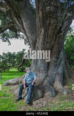 Die Cellon Oak Park in der Nähe von Gainesville, Florida, enthält die Florida State Champion Live Oak.  Es ist ein Alachua County Park. Stockfoto