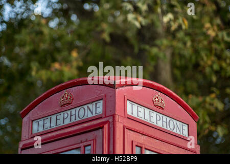 Gemeinsame rote britische Telefonzelle in London, Vereinigtes Königreich. Stockfoto