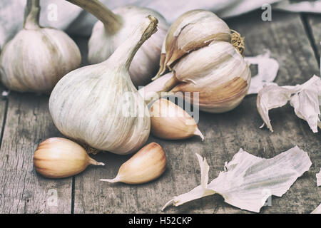 Kopf des Knoblauchs und Nelken auf grauem rustikalen hölzernen Hintergrund Stockfoto