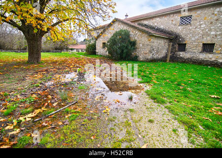 verlassenes Haus Tatoi Palace Griechenland Stockfoto