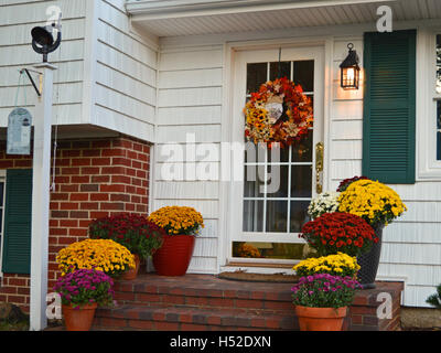 Bunte fallen Mütter Blüte auf eine vordere Stoop in Pasadena, Anne Arundel County, Maryland, USA. Stockfoto
