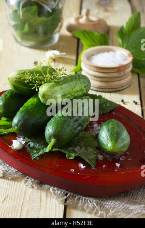 Erhaltung der frische und eingelegte Gurken, Knoblauch und Gewürze auf einem Holztisch. Haus Gemüsekonserven. Stockfoto