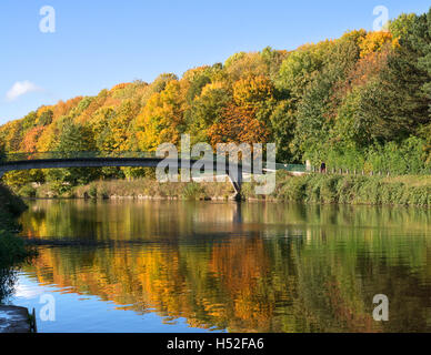 Im Herbst Laub Farbe spiegelt sich in den Fluss Verschleiß an Bäder Brücke, Durham City, Co. Durham, England, UK Stockfoto