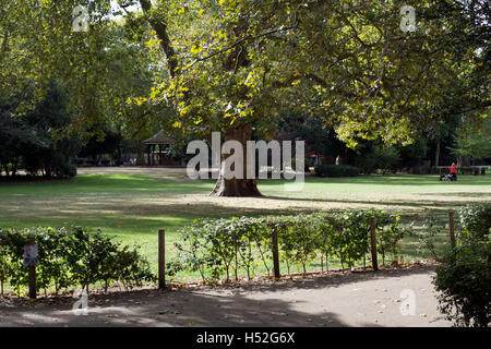 Lincoln es Inn Fields, London, UK Stockfoto