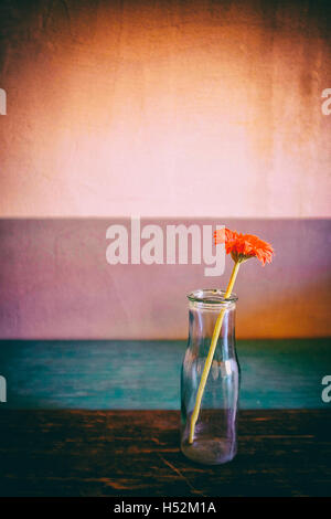 Vintage Stillleben einer Blume in einer Flasche Stockfoto