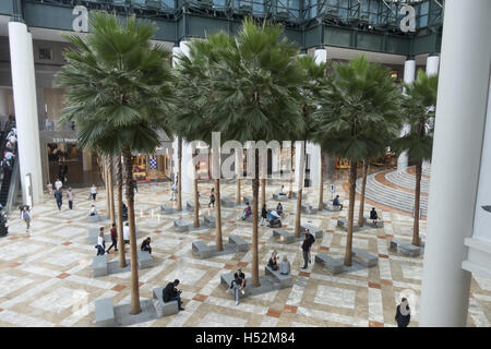 Der Wintergarten Atrium, zusammen mit dem Rest der Brookfield (ehemals World Financial Center), wurde von dem Architekten César Pelli im Jahr 1985 konzipiert. 1988 zu einem Preis von $ 60 Mio. abgeschlossen, das Atrium war ursprünglich der Original World Trade Center über eine 400 ft (120 m) Fußgängerbrücke, die West Street überspannten verbunden. Stockfoto