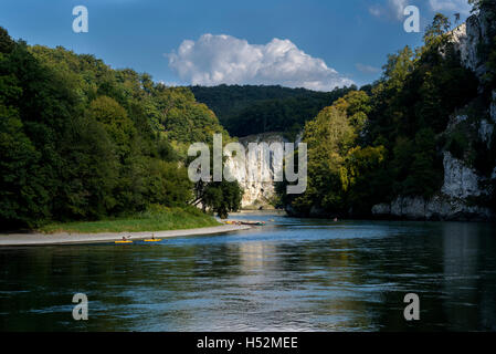 Kanuten auf der Donau. Stockfoto