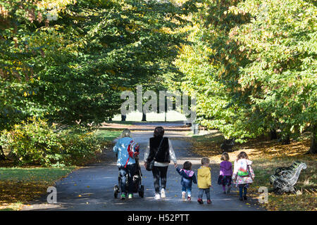 Herbst-Szene im Greenwich Park Stockfoto