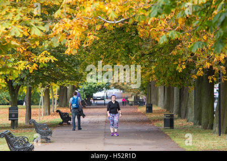 Herbst-Szene im Greenwich Park Stockfoto