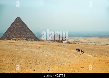 Karawane der Kamele auf dem Hintergrund der Pyramiden von Gizeh. Ägypten. September 2008. Stockfoto