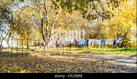 Wäscheständer auf dem Seil zwischen den Bäumen im Herbst. Stockfoto