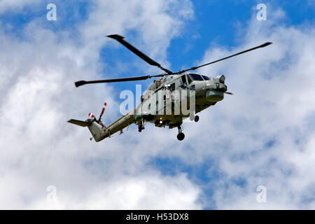 Königliche Marine AgustaWestland Lynx HMA.8 XZ723, bei der Royal Naval Air Station Yeovilton International Air Tag, 4. Juli 2008. Stockfoto