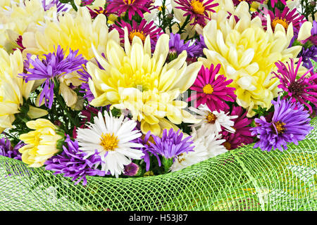 Bouquet mit Chrysanthemen und Astern auf weißem Hintergrund Nahaufnahme. Stockfoto